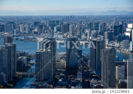 東京の湾岸エリアの街並み 東京の湾岸エリアの街並み 141229661