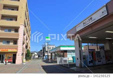 狭山ヶ丘駅　西武池袋線 141230125