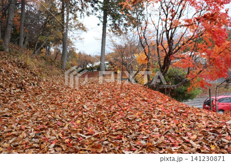 滋賀県長浜市木之本町の鶏足寺(けいそくじ)の紅葉風景 滋賀県長浜市木之本町の鶏足寺(けいそくじ)の紅葉風景 141230871