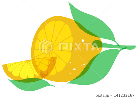 Minimalist Risograph Style Lemon Citrus Fruit Illustration with Green Leaves Minimalist Risograph Style Lemon Citrus Fruit Illustration with Green Leaves 141232167