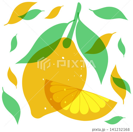 Minimalist Risograph Illustration of a Whole Lemon and Citrus Slice with Leaves Minimalist Risograph Illustration of a Whole Lemon and Citrus Slice with Leaves 141232168