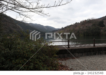 2025年・香川・観音寺・大野原・風景・豊稔池堰堤・其の五十七 2025年・香川・観音寺・大野原・風景・豊稔池堰堤・其の五十七 141232540