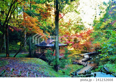紅葉の新潟県加茂市加茂山公園風景 紅葉の新潟県加茂市加茂山公園風景 141232608