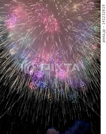 ふくろい遠州の花火 141232619