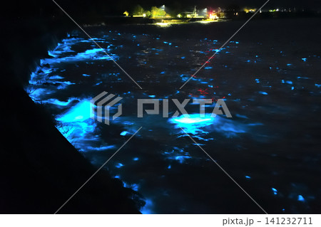 夜光虫 夜光虫 141232711