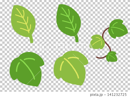 シンプルなフチなし蔦や葉のイラストまとめ シンプルなフチなし蔦や葉のイラストまとめ 141232725