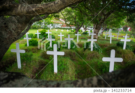 Historic cemetery beside Hofskirkja turf church in southern Iceland, with white wooden crosses beneath ancient trees. A peaceful cultural landscape reflecting Icelandic heritage and tradition. Historic cemetery beside Hofskirkja turf church in southern Iceland, with white wooden crosses beneath ancient trees. A peaceful cultural landscape reflecting Icelandic heritage and tradition. 141233714