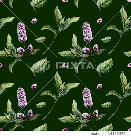 Mint seamless pattern watercolor illustration on dark background. Mentha medicinal herb for premium calming spa branding, stress relief oil packaging, organic sleep aromatherapy wellness print Mint seamless pattern watercolor illustration on dark background. Mentha medicinal herb for premium calming spa branding, stress relief oil packaging, organic sleep aromatherapy wellness print 141234704