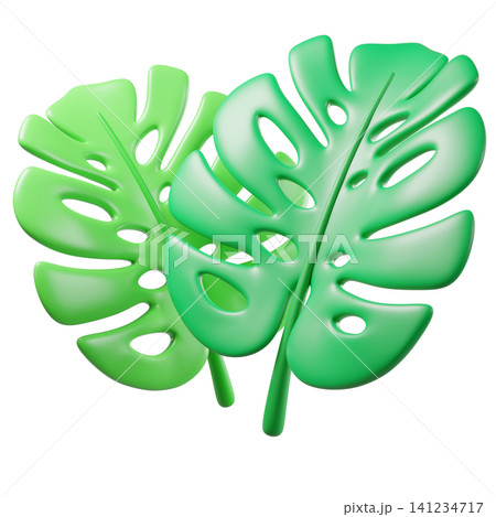 3D tropical monstera leaves, isolated on background. Fresh green botanical design element for summer branding, eco-friendly, wellness, spa, tropical invitations, stickers. 3d render 141234717