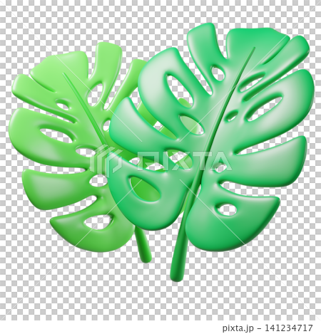 3D tropical monstera leaves, isolated on background. Fresh green botanical design element for summer branding, eco-friendly, wellness, spa, tropical invitations, stickers. 3d render 141234717