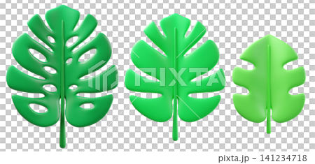 Set of 3D tropical monstera leaves, isolated on background. Fresh green botanical design element for summer branding, eco-friendly, wellness, spa, tropical invitations, stickers. 3d render Set of 3D tropical monstera leaves, isolated on background. Fresh green botanical design element for summer branding, eco-friendly, wellness, spa, tropical invitations, stickers. 3d render 141234718
