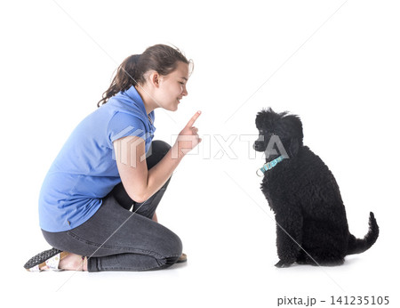 dog, owner and obedience 141235105