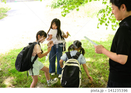 新緑の野外学習で先生の説明を聞く小学生のグループ 新緑の野外学習で先生の説明を聞く小学生のグループ 141235396