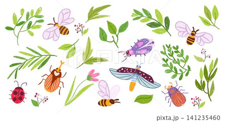 Hand drawn crayon insects set isolated on white 141235460