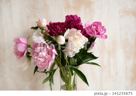 Elegant Bouquet of Pink, White and Burgundy Peonies in Glass Vase Elegant Bouquet of Pink, White and Burgundy Peonies in Glass Vase 141235675