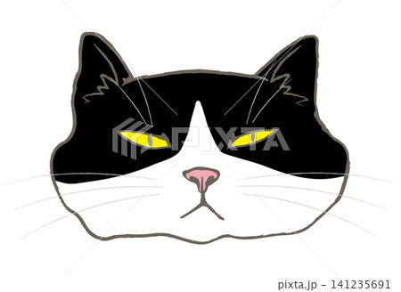 ハチワレの顔のイラスト 141235691