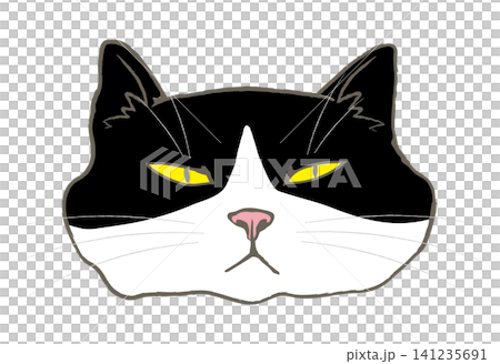 ハチワレの顔のイラスト 141235691