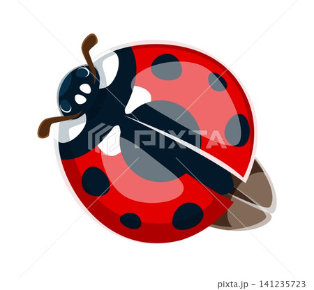 Ladybug font typeset cartoon letter Q. Red ladybug beetle typeset element, garden ladybird English alphabet typeface vector symbol. Spring insect cartoon type sign or cute lady bug font letter Ladybug font typeset cartoon letter Q. Red ladybug beetle typeset element, garden ladybird English alphabet typeface vector symbol. Spring insect cartoon type sign or cute lady bug font letter 141235723