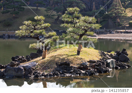 旧芝離宮恩賜庭園/2013年 旧芝離宮恩賜庭園/2013年 141235857