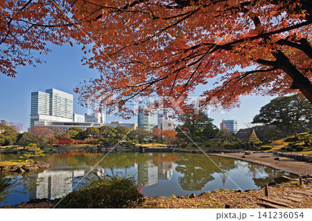 旧芝離宮恩賜庭園/2013年 旧芝離宮恩賜庭園/2013年 141236054