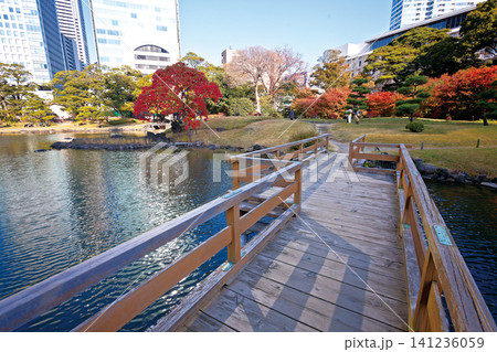 旧芝離宮恩賜庭園/2013年 旧芝離宮恩賜庭園/2013年 141236059