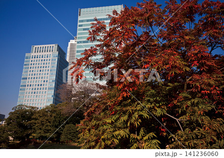 旧芝離宮恩賜庭園/2013年 旧芝離宮恩賜庭園/2013年 141236060
