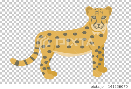 Cheetah Cheetah 141236070