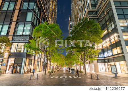 丸の内仲通りの夜景と街路樹のあるオフィス街 丸の内仲通りの夜景と街路樹のあるオフィス街 141236077