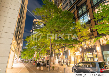 丸の内仲通りの夜景と街路樹のあるオフィス街 丸の内仲通りの夜景と街路樹のあるオフィス街 141236080