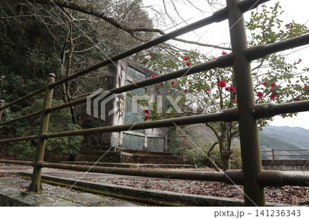 2025年・香川・観音寺・大野原・風景・豊稔池堰堤・其の七十七 141236343