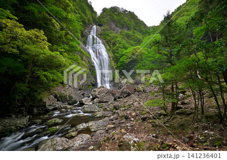 千尋滝(奈良県吉野郡上北山村) 千尋滝(奈良県吉野郡上北山村) 141236401
