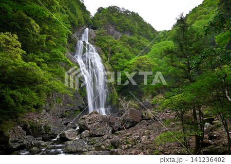 千尋滝(奈良県吉野郡上北山村) 千尋滝(奈良県吉野郡上北山村) 141236402