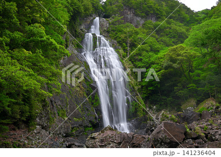 千尋滝(奈良県吉野郡上北山村) 千尋滝(奈良県吉野郡上北山村) 141236404