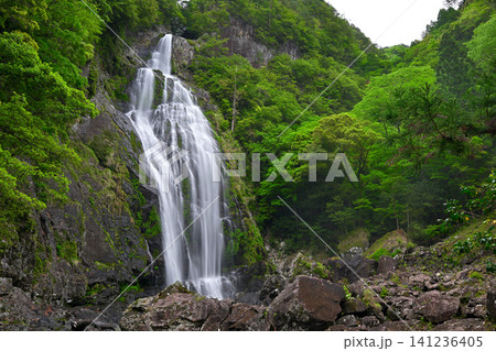 千尋滝(奈良県吉野郡上北山村) 千尋滝(奈良県吉野郡上北山村) 141236405