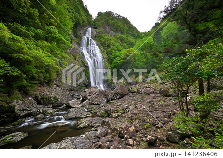 千尋滝(奈良県吉野郡上北山村) 千尋滝(奈良県吉野郡上北山村) 141236406