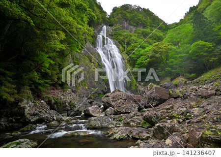 千尋滝（奈良県吉野郡上北山村） 141236407