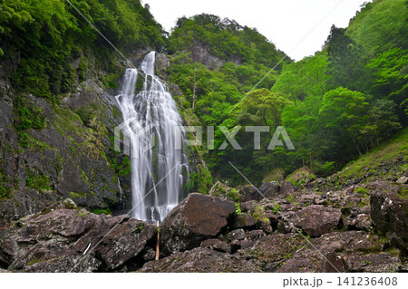 千尋滝(奈良県吉野郡上北山村) 千尋滝(奈良県吉野郡上北山村) 141236408