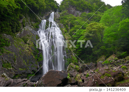 千尋滝(奈良県吉野郡上北山村) 千尋滝(奈良県吉野郡上北山村) 141236409