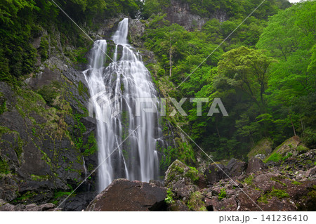 千尋滝(奈良県吉野郡上北山村) 千尋滝(奈良県吉野郡上北山村) 141236410