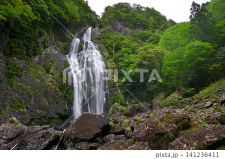 千尋滝(奈良県吉野郡上北山村) 千尋滝(奈良県吉野郡上北山村) 141236411