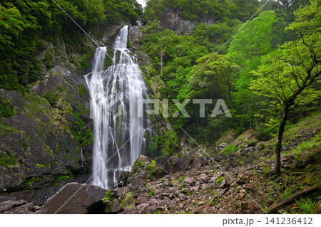 千尋滝(奈良県吉野郡上北山村) 千尋滝(奈良県吉野郡上北山村) 141236412