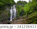 千尋滝(奈良県吉野郡上北山村) 千尋滝(奈良県吉野郡上北山村) 141236413