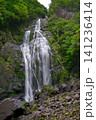 千尋滝(奈良県吉野郡上北山村) 千尋滝(奈良県吉野郡上北山村) 141236414