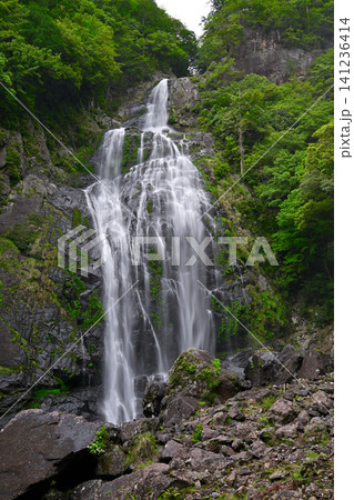 千尋滝(奈良県吉野郡上北山村) 千尋滝(奈良県吉野郡上北山村) 141236414