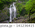千尋滝(奈良県吉野郡上北山村) 千尋滝(奈良県吉野郡上北山村) 141236415