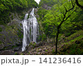 千尋滝(奈良県吉野郡上北山村) 千尋滝(奈良県吉野郡上北山村) 141236416