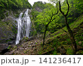 千尋滝(奈良県吉野郡上北山村) 千尋滝(奈良県吉野郡上北山村) 141236417