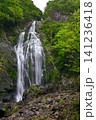 千尋滝(奈良県吉野郡上北山村) 千尋滝(奈良県吉野郡上北山村) 141236418
