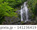 千尋滝(奈良県吉野郡上北山村) 千尋滝(奈良県吉野郡上北山村) 141236419