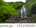 千尋滝(奈良県吉野郡上北山村) 千尋滝(奈良県吉野郡上北山村) 141236420